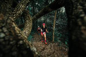 BIB: 
                            <button type="button" onclick="openModal(25667704)" class="btn btn-primary btn-sm float-right btn-popup" data-toggle="modal" data-target=".modal-high-quality">
                        <i class="fas fa-shopping-cart"></i> Add to Cart
                    </button>
                                            <button type="button" onclick="isThisMe(25667704, true)" class="btn btn-success btn-sm float-right btn-popup btn-isme hidden" data-toggle="tooltip" data-placement="bottom" title="นี่คือรูปของคุณใช่ไหม คลิกที่นี่เพื่อเอาเข้าอัลบั้ม">
                        <i class="fas fa-plus"></i> Add to album
                    </button>
                    <button type="button" onclick="isThisMe(25667704, false)" class="btn btn-warning btn-sm float-right btn-popup btn-isnotme hidden">
                        <i class="fas fa-ban"></i> Remove from album
                    </button>